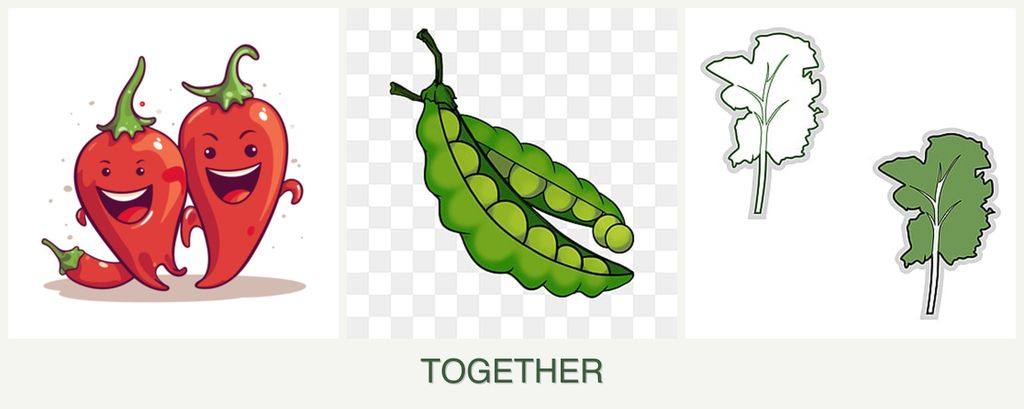 Can you plant peppers, peas and kale together?