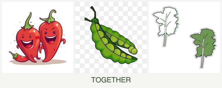 Can you plant peppers, peas and kale together?