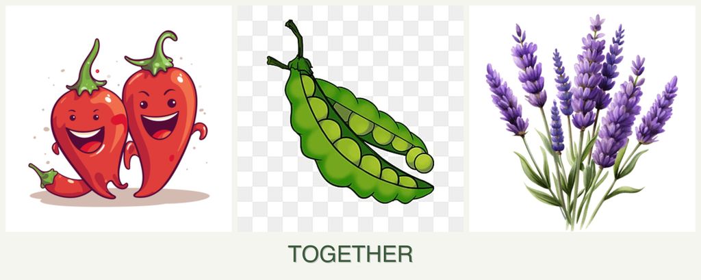 Can you plant peppers, peas and lavender together?