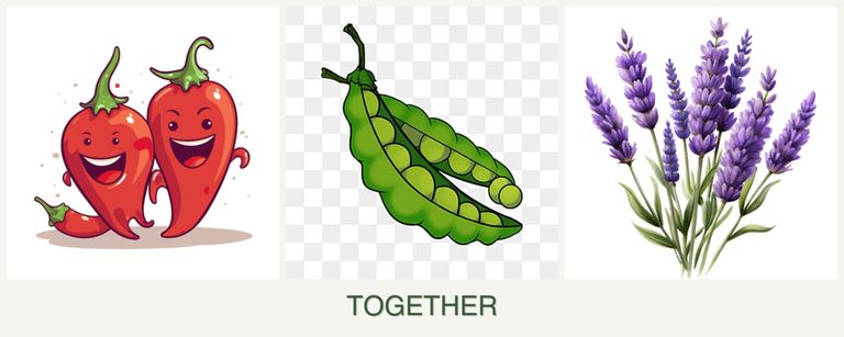 Can you plant peppers, peas and lavender together?