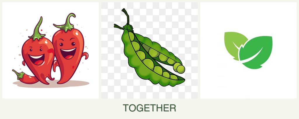 Can you plant peppers, peas and mint together?