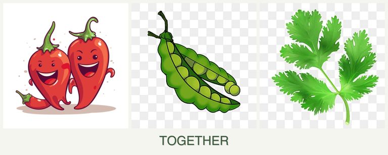 Can you plant peppers, peas and parsley together?