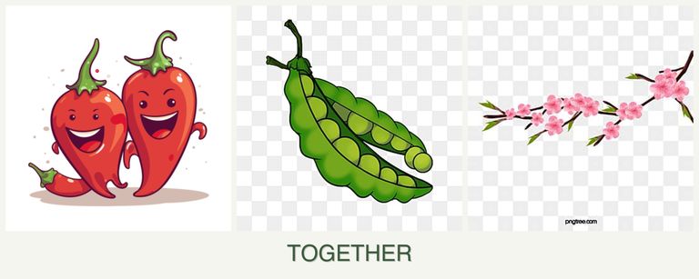 Can you plant peppers, peas and peaches together?