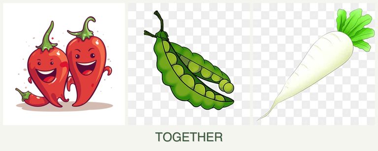 Can you plant peppers, peas and radishes together?