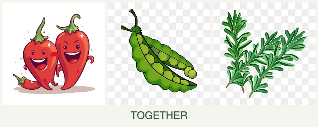Can you plant peppers, peas and rosemary together?