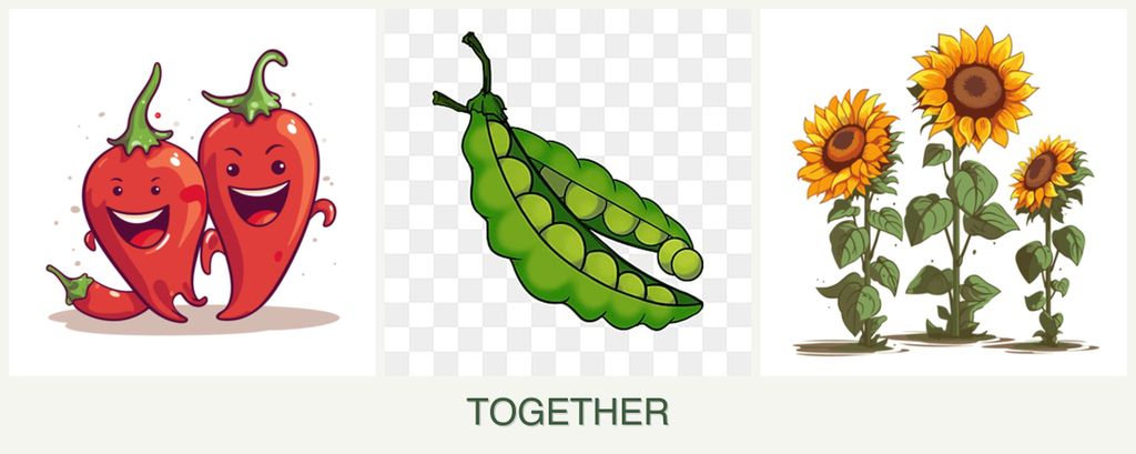 Can you plant peppers, peas and sunflowers together?