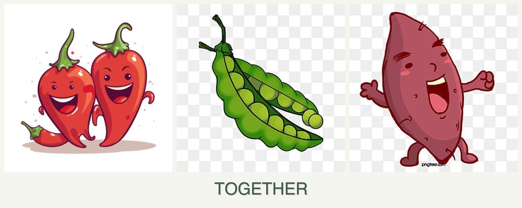 Can you plant peppers, peas and sweet potatoes together?