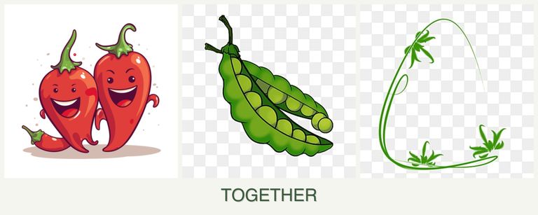 Can you plant peppers, peas and tarragon together?