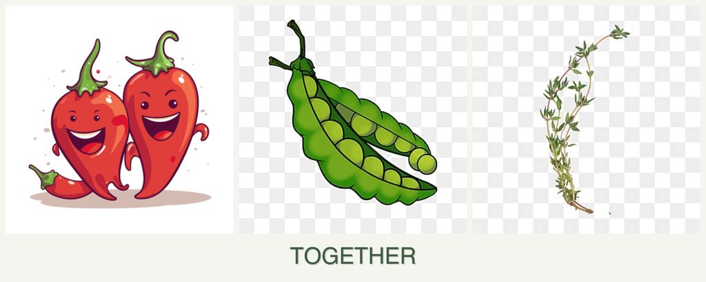 Can you plant peppers, peas and thyme together?