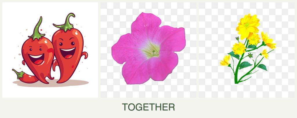 Can you plant peppers, petunias and calendula together?