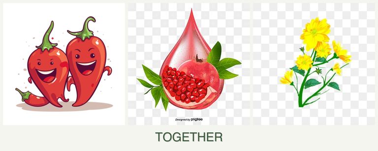 Can you plant peppers, pomegranates and calendula together?