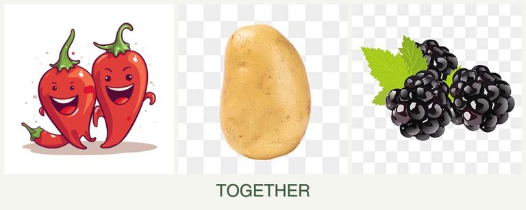 Can you plant peppers, potatoes and blackberries together?