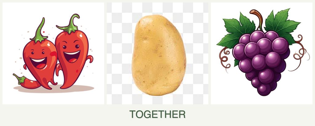Can you plant peppers, potatoes and grapes together?