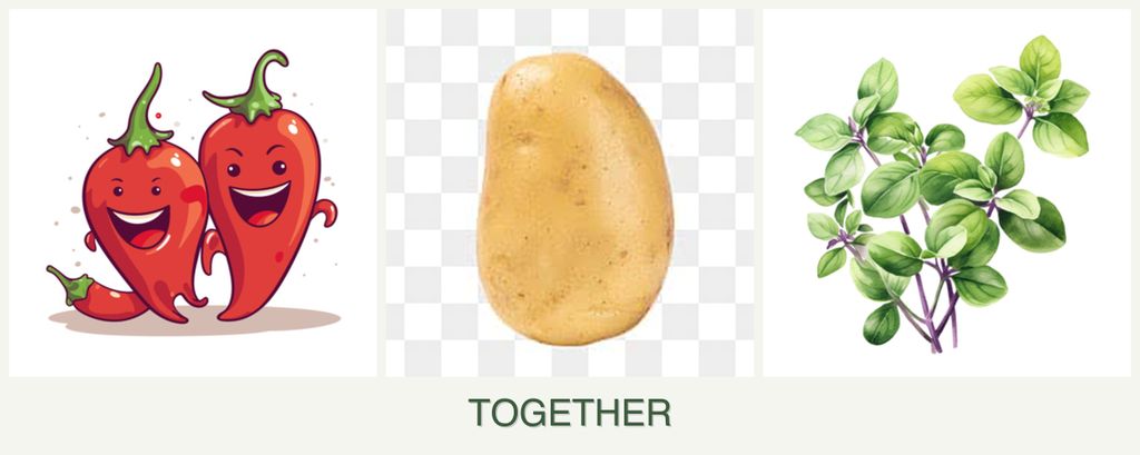 Can you plant peppers, potatoes and oregano together?
