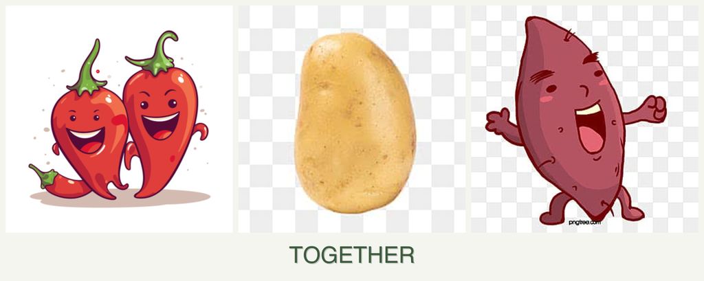 Can you plant peppers, potatoes and sweet potatoes together?