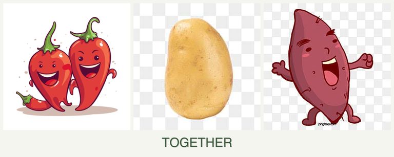 Can you plant peppers, potatoes and sweet potatoes together?