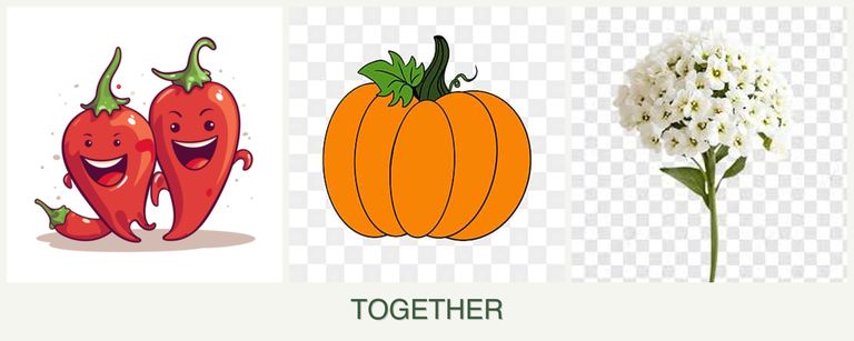 Can you plant peppers, pumpkin and alyssum together?