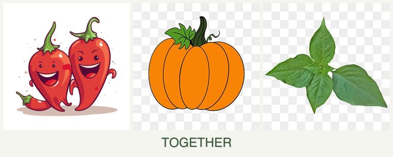 Can you plant peppers, pumpkin and basil together?