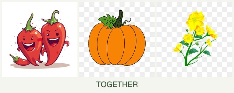 Can you plant peppers, pumpkin and calendula together?