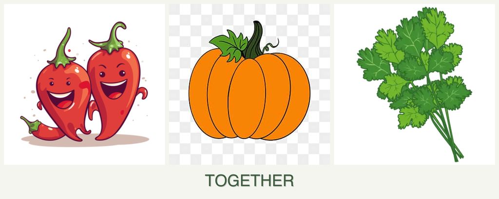 Can you plant peppers, pumpkin and cilantro together?