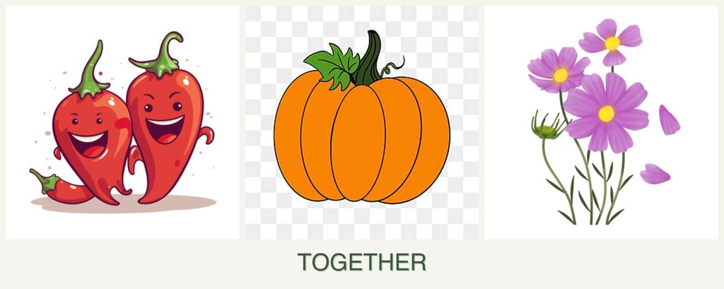Can you plant peppers, pumpkin and cosmos together?