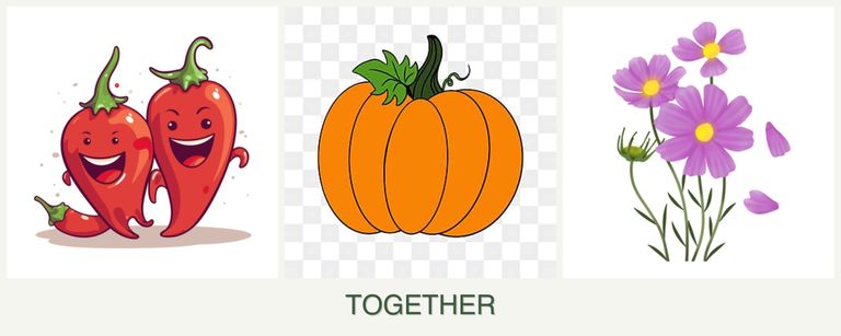 Can you plant peppers, pumpkin and cosmos together?