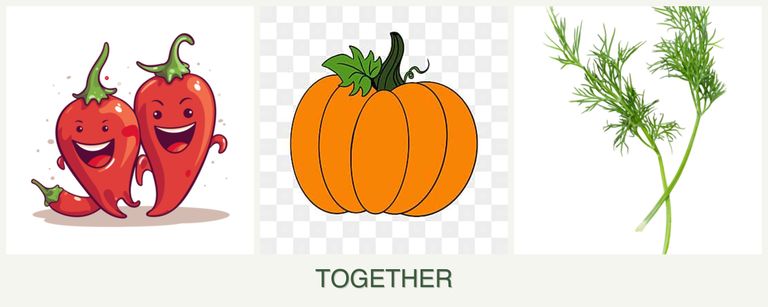 Can you plant peppers, pumpkin and dill together?