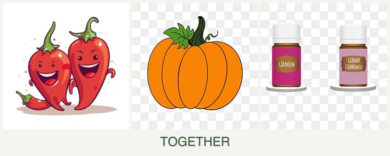 Can you plant peppers, pumpkin and geraniums together?