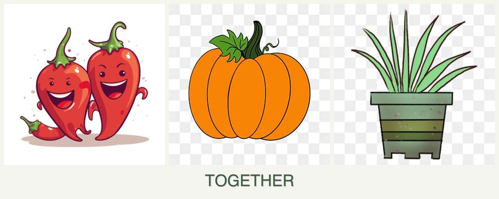 Can you plant peppers, pumpkin and lemongrass together?