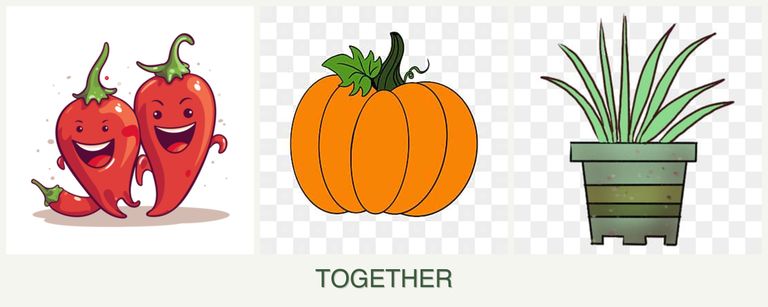 Can you plant peppers, pumpkin and lemongrass together?