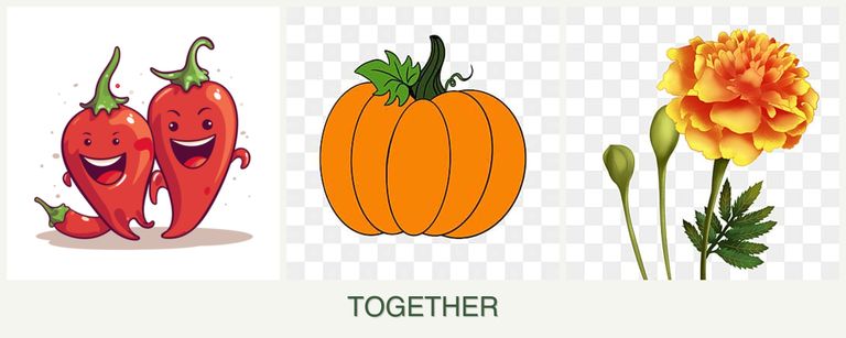 Can you plant peppers, pumpkin and marigolds together?