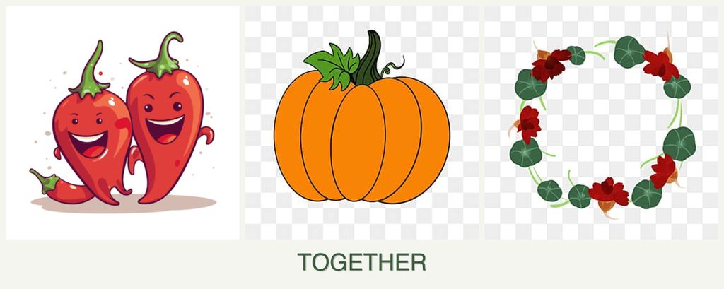 Can you plant peppers, pumpkin and nasturtiums together?