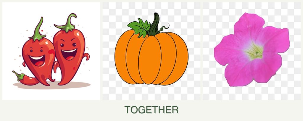 Can you plant peppers, pumpkin and petunias together?