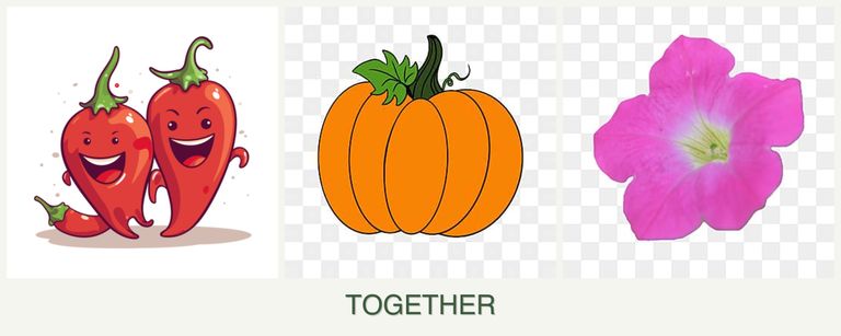 Can you plant peppers, pumpkin and petunias together?