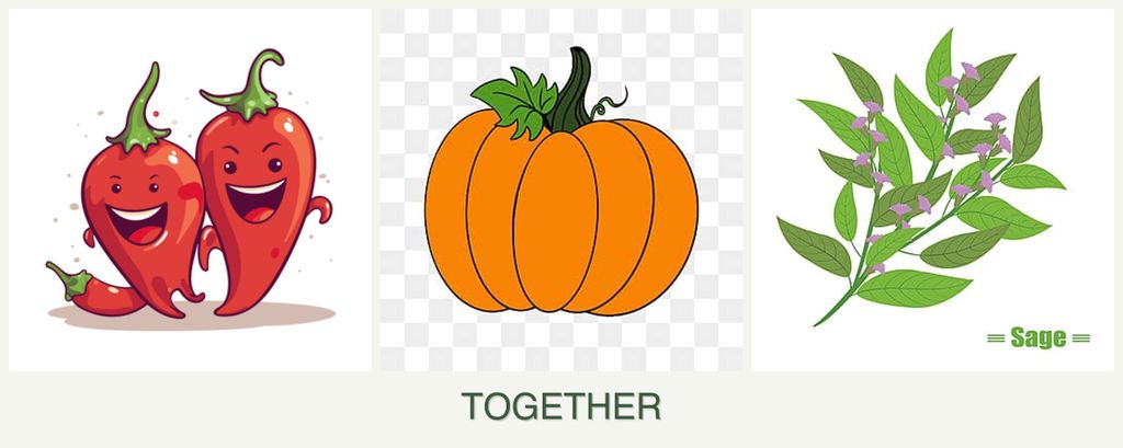 Can you plant peppers, pumpkin and sage together?