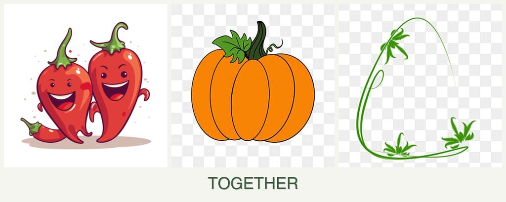 Can you plant peppers, pumpkin and tarragon together?