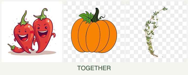 Can you plant peppers, pumpkin and thyme together?