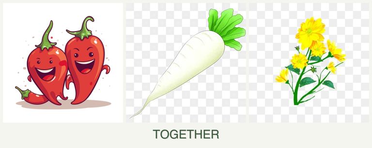 Can you plant peppers, radishes and calendula together?