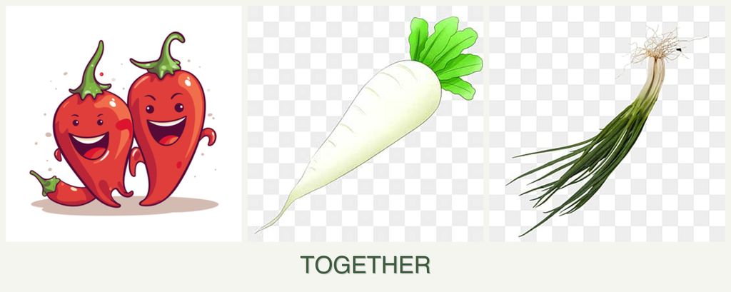 Can you plant peppers, radishes and chives together?