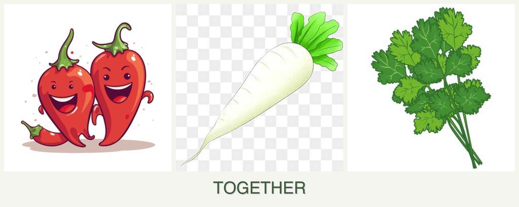 Can you plant peppers, radishes and cilantro together?