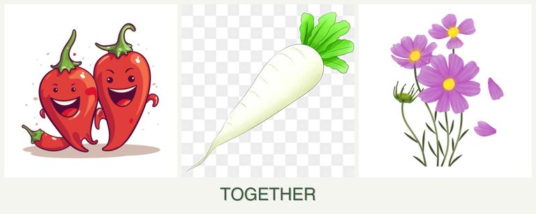 Can you plant peppers, radishes and cosmos together?
