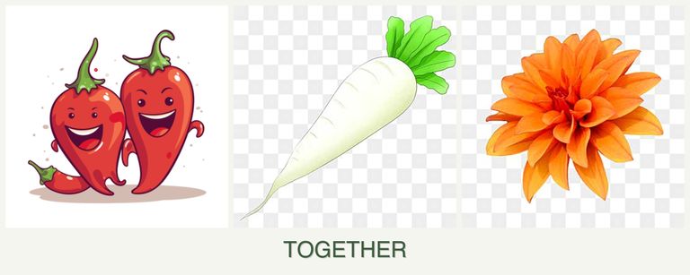 Can you plant peppers, radishes and dahlias together?