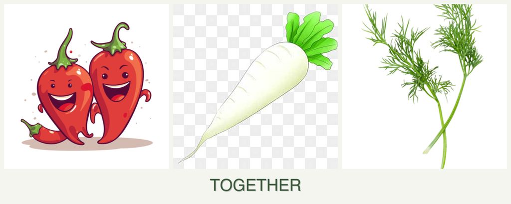 Can you plant peppers, radishes and dill together?