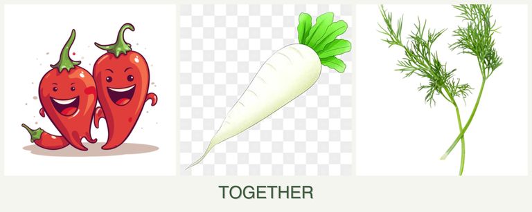 Can you plant peppers, radishes and dill together?
