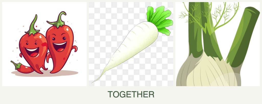 Can you plant peppers, radishes and fennel together?