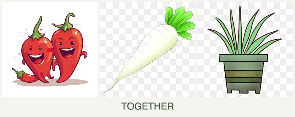 Can you plant peppers, radishes and lemongrass together?