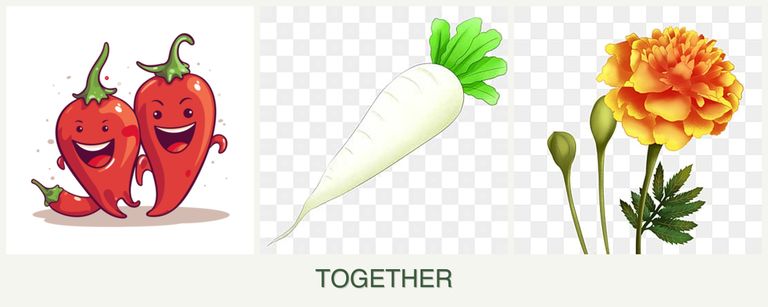 Can you plant peppers, radishes and marigolds together?