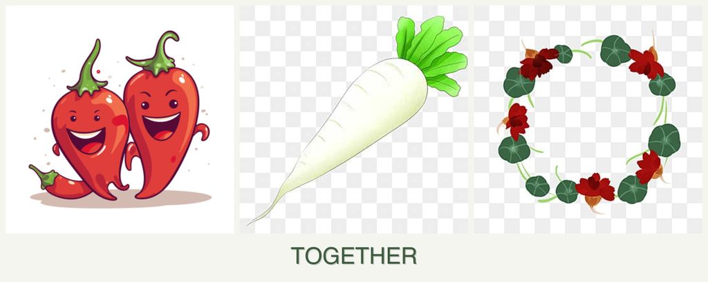 Can you plant peppers, radishes and nasturtiums together?
