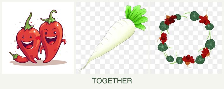 Can you plant peppers, radishes and nasturtiums together?