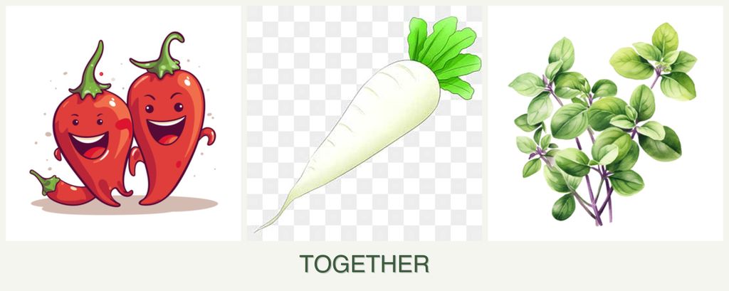 Can you plant peppers, radishes and oregano together?